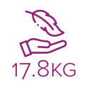 ICON2 ICON2